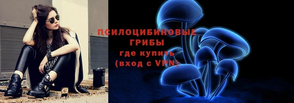 бошки Каменка