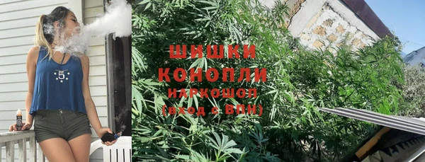 бошки Каменка