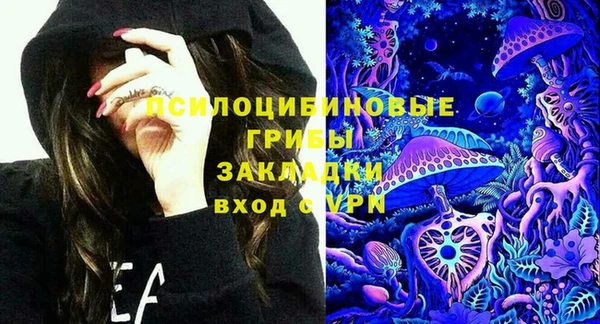 твердый Каменск-Шахтинский