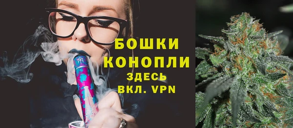 амф Каменногорск