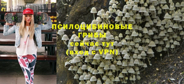 амф Каменногорск