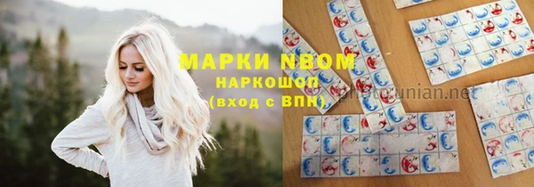 бошки Каменка