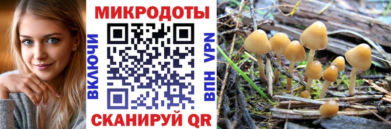 Псилоцибиновые грибы мицелий  Купить закладки  Кирово-Чепецк 